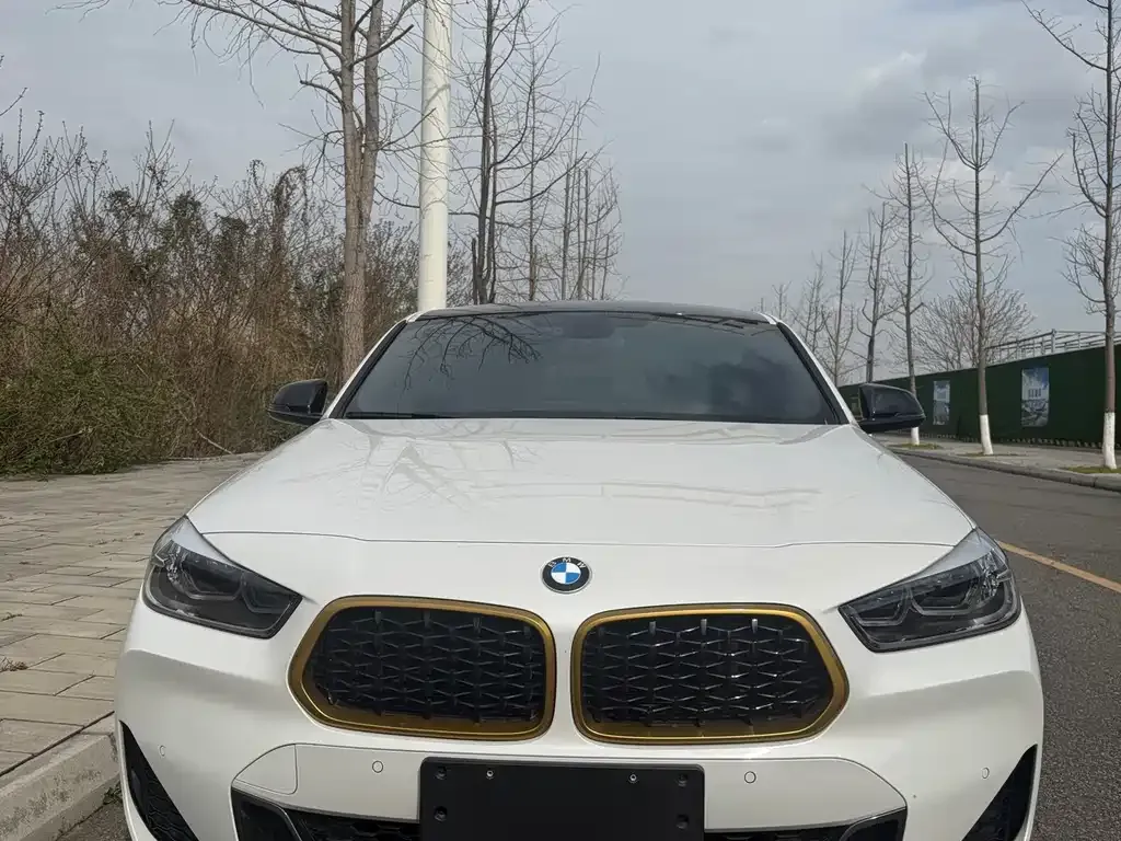 BMW X2 — фото 5