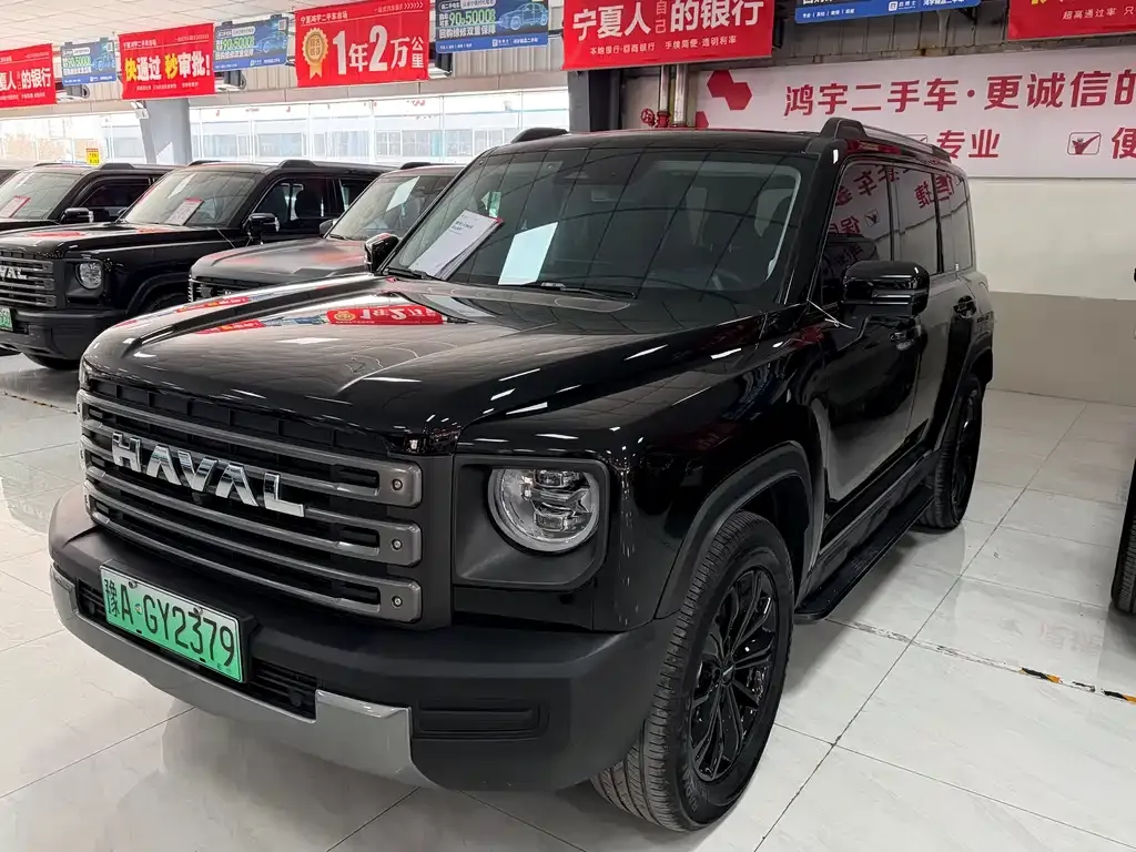 Haval Menglong New Energy — фото 1