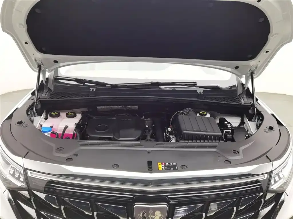 Roewe iMAX8 New Energy — фото 10
