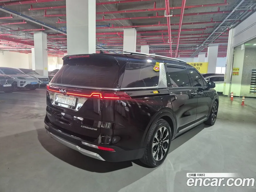 Kia Carnival — фото 10