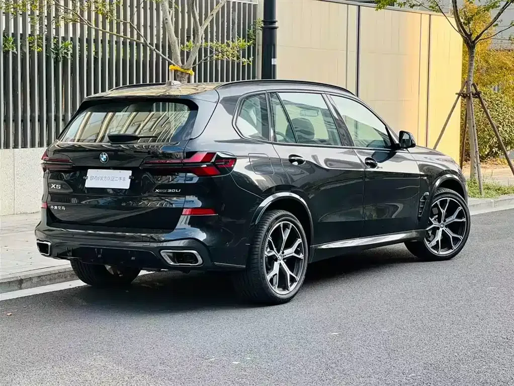 BMW X5 — фото 10