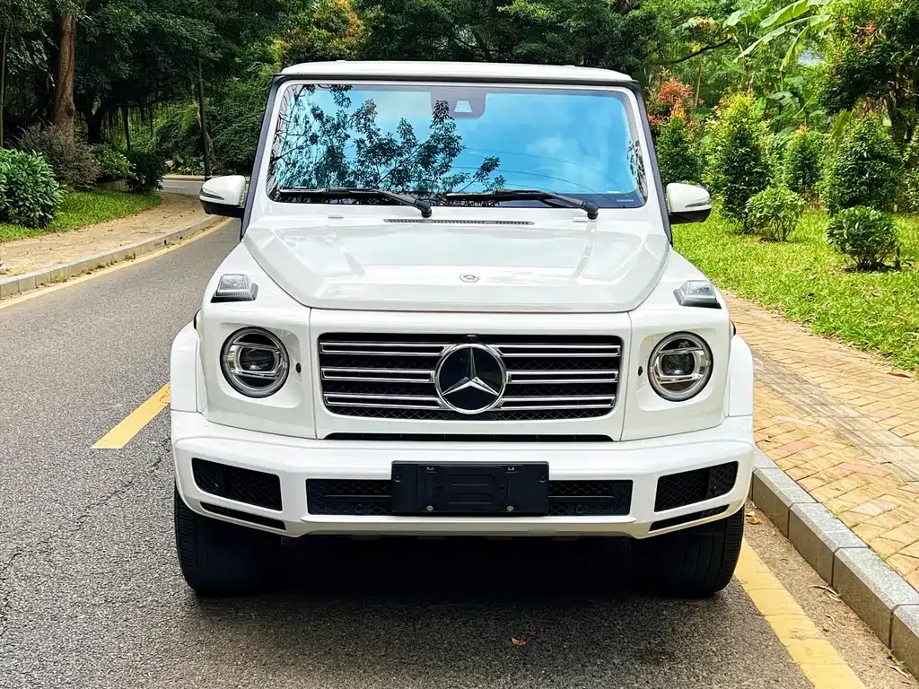 Mercedes-Benz G-Class — фото 10