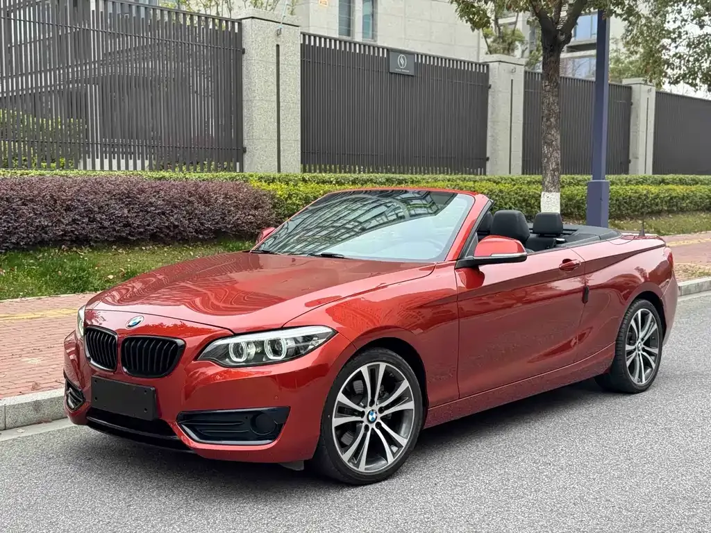 BMW 2 Series (Import) — фото 1