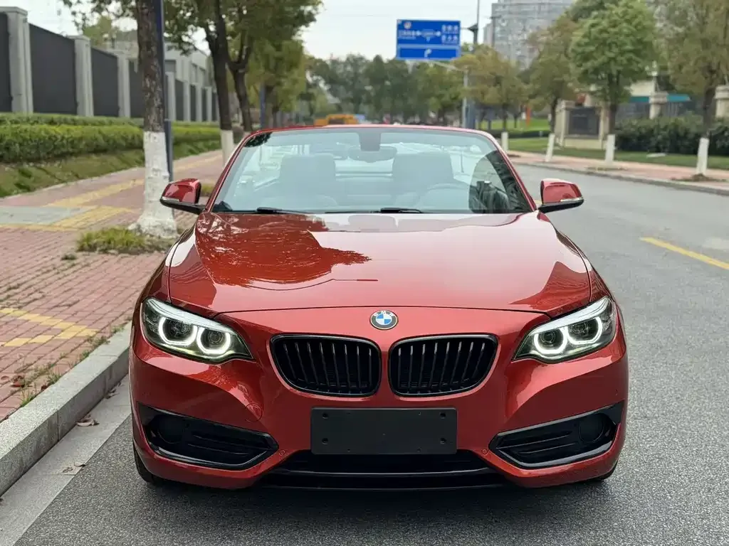 BMW 2 Series (Import) — фото 4