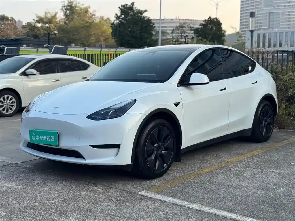 Tesla Model Y — фото 1