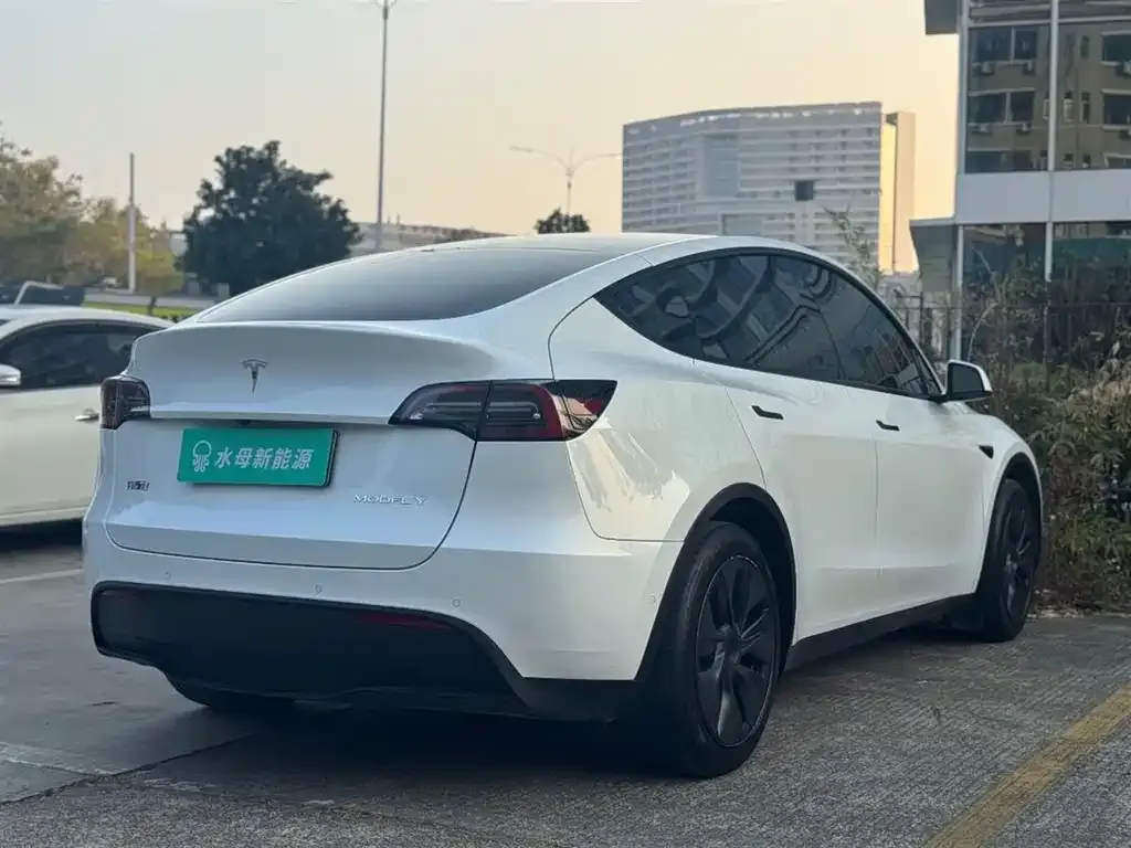Tesla Model Y — фото 3