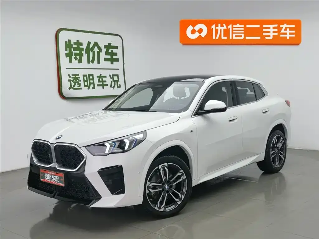 BMW X2 (Import) — фото 1