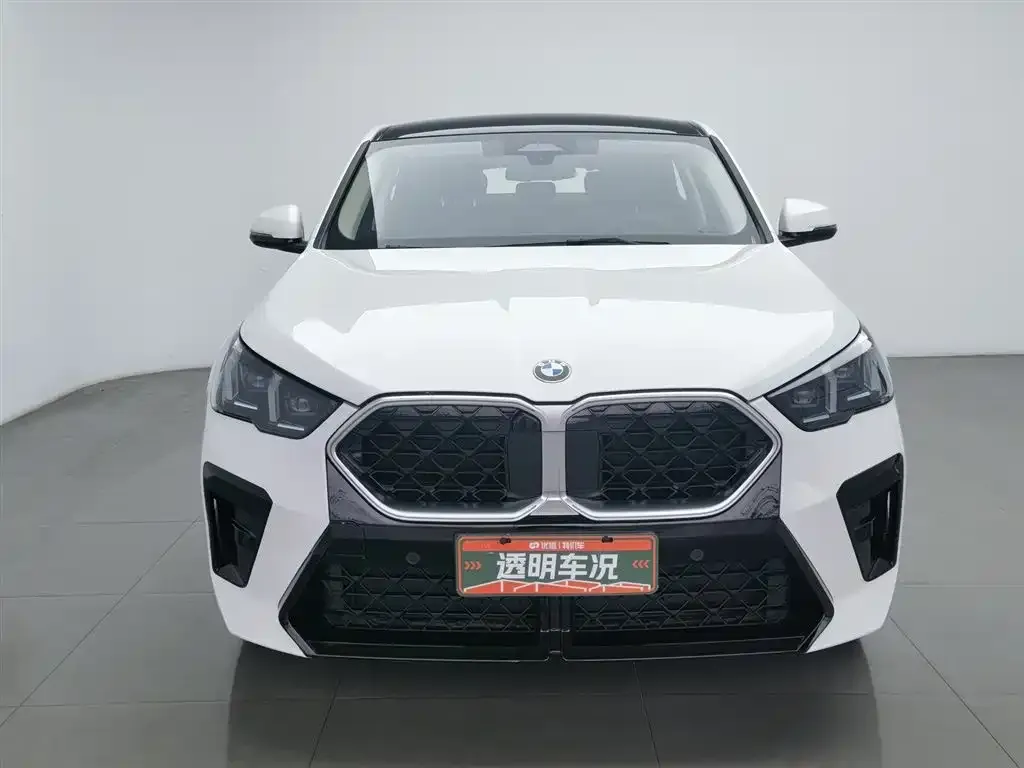BMW X2 (Import) — фото 2