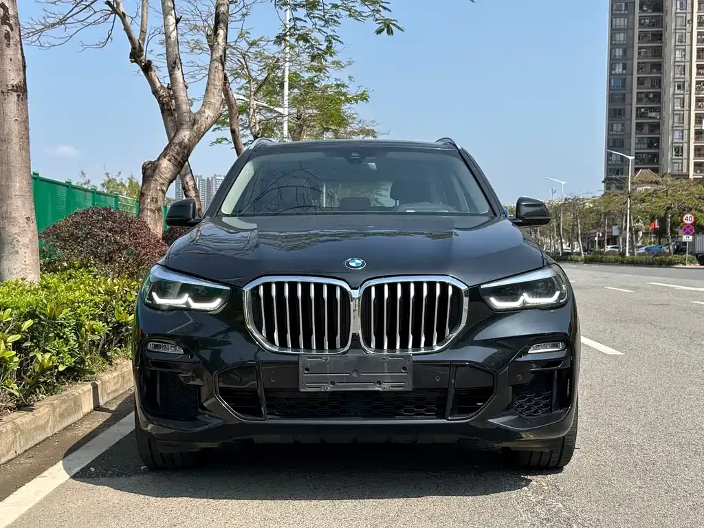 BMW X5 (Import) — фото 6