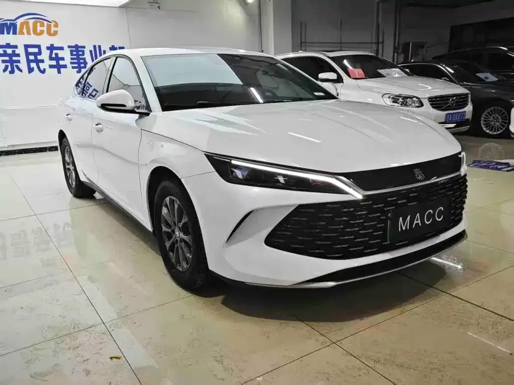 BYD Qin L — фото 3