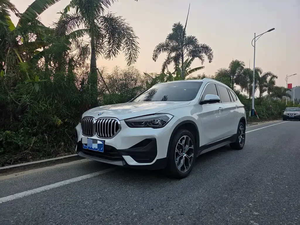 BMW X1 — фото 1