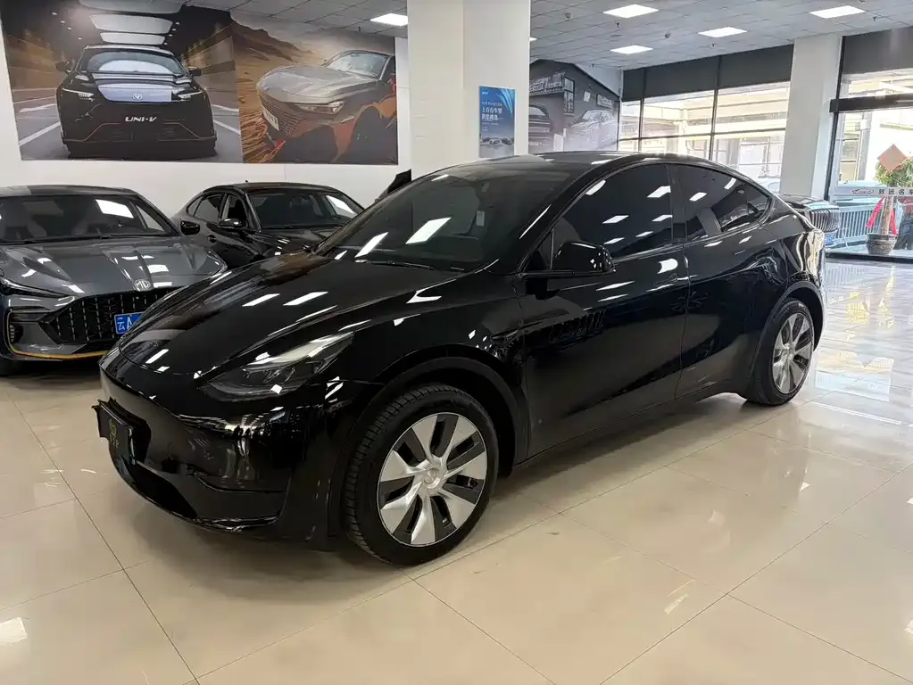 Tesla Model Y — фото 1