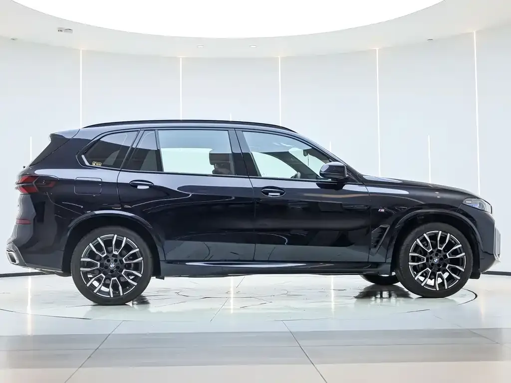BMW X5 — фото 10
