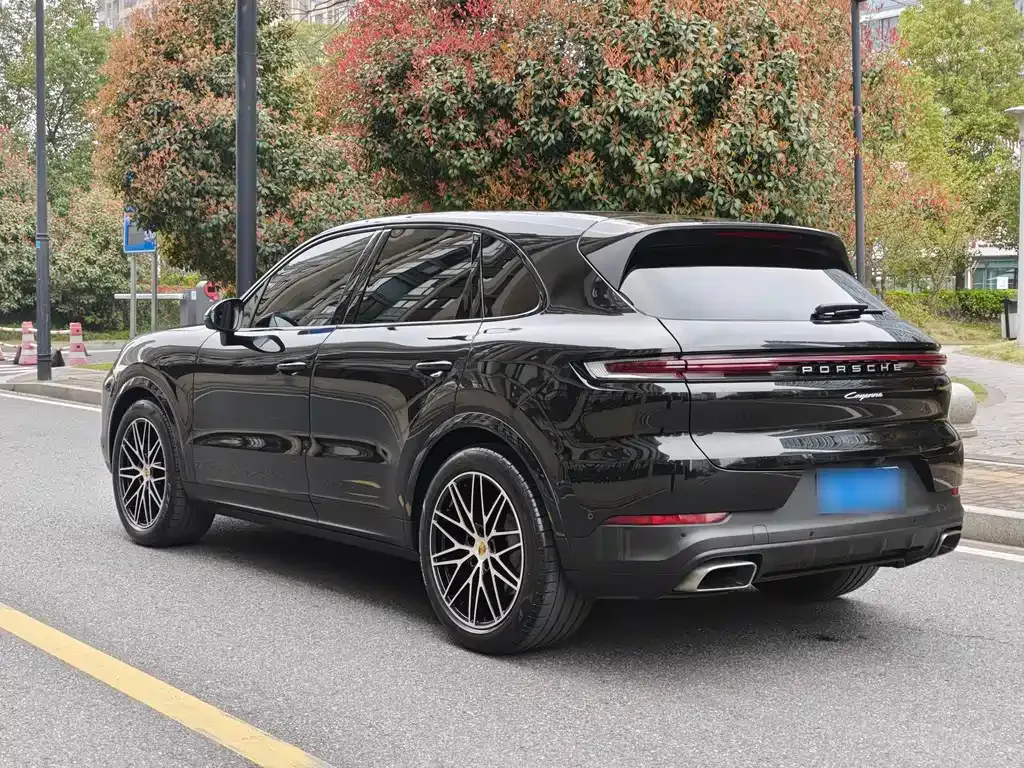 Porsche Cayenne — фото 10