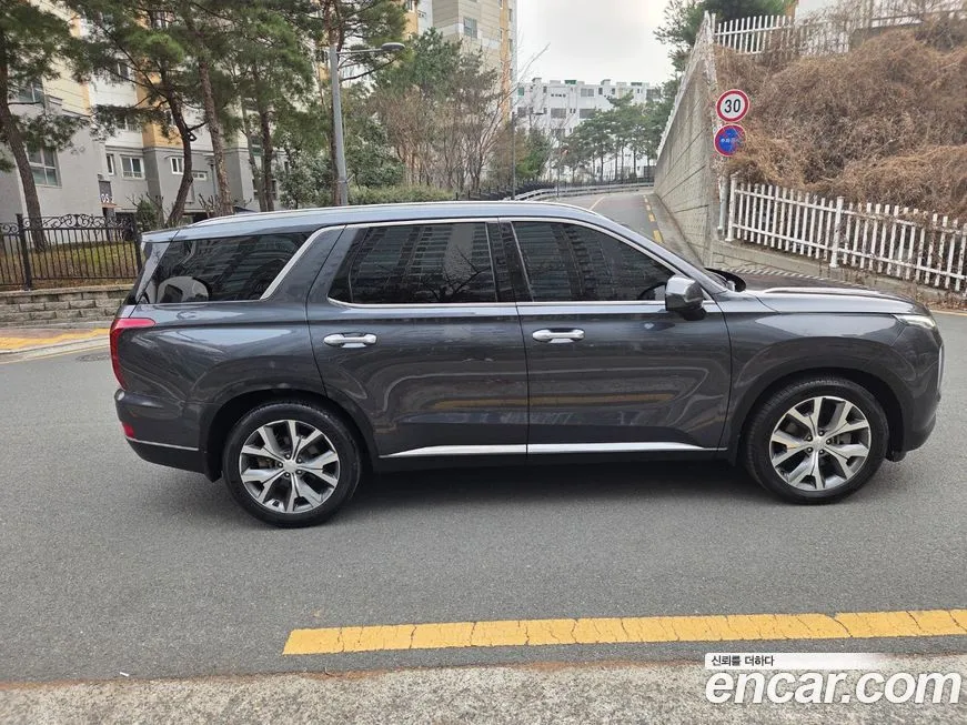 Hyundai Palisade — фото 10