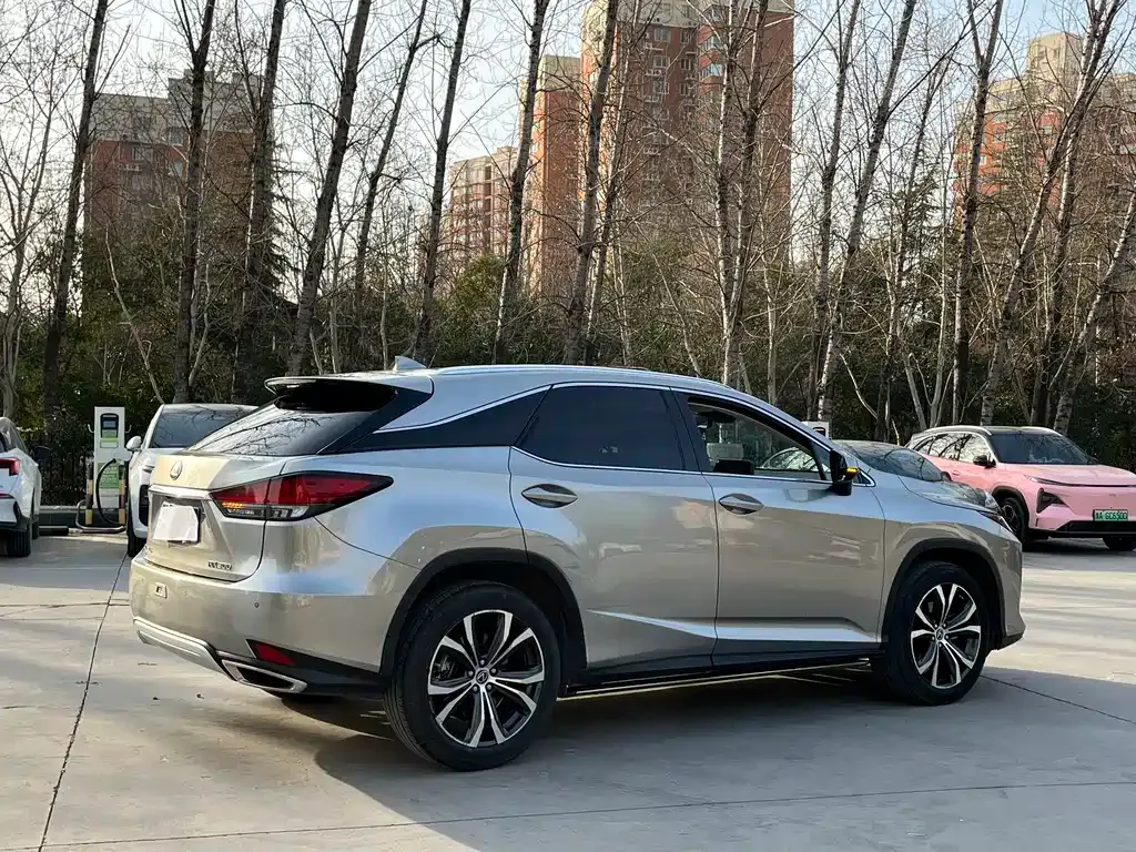 Lexus RX — фото 10