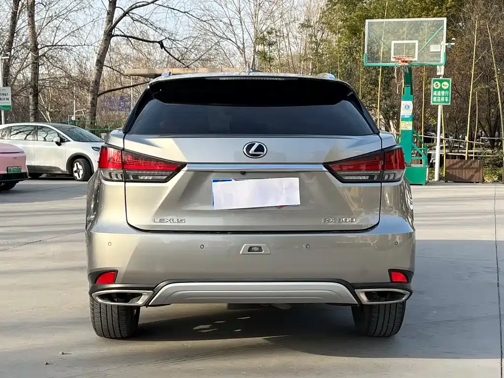 Lexus RX — фото 6