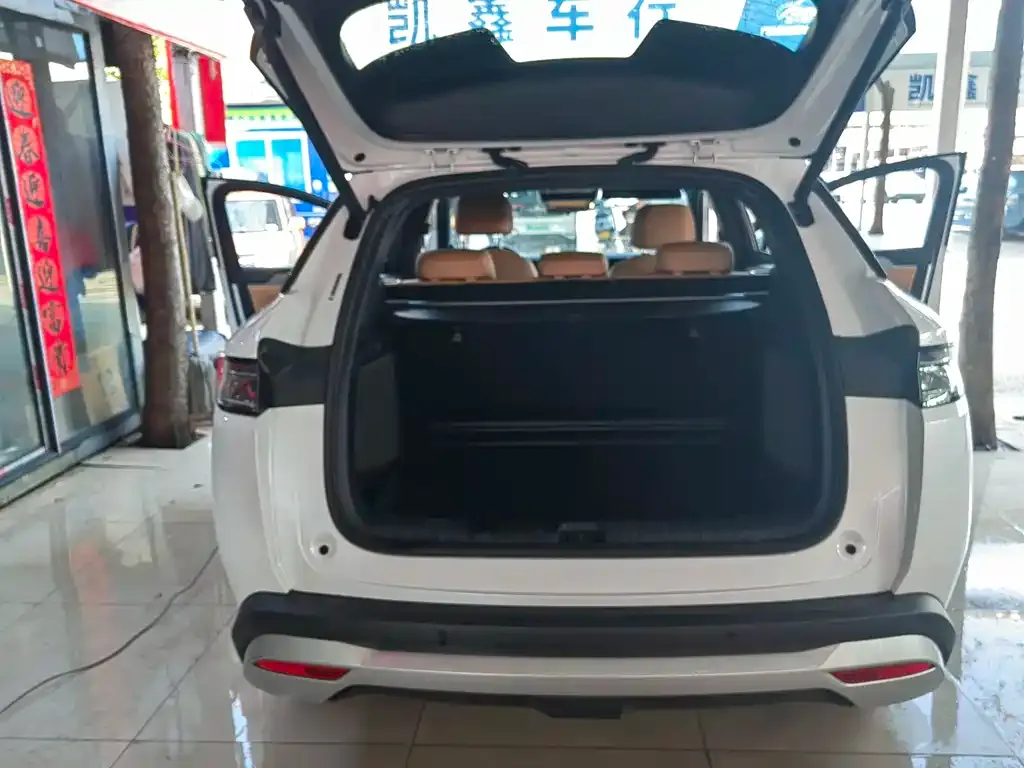 BYD L DM-i — фото 4