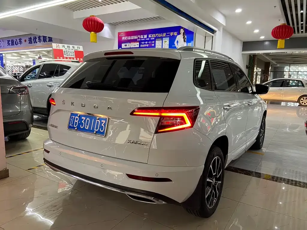 Skoda Karoq — фото 6