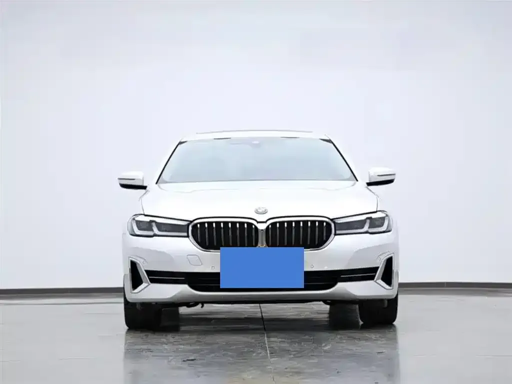 BMW 5 Series New Energy — фото 3