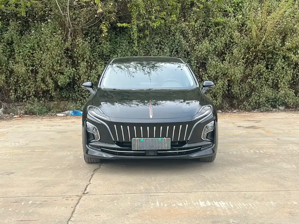 Hongqi E-QM5 — фото 6