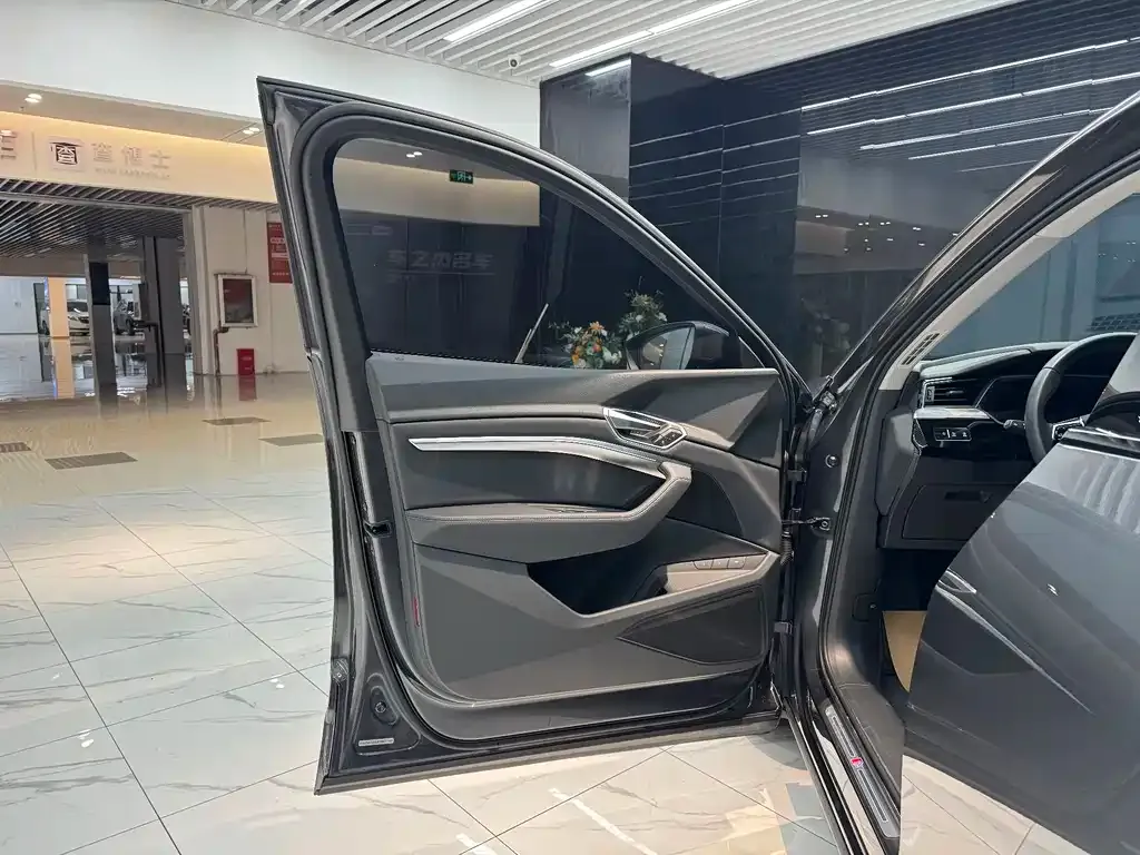 Audi e-tron (Import) — фото 3