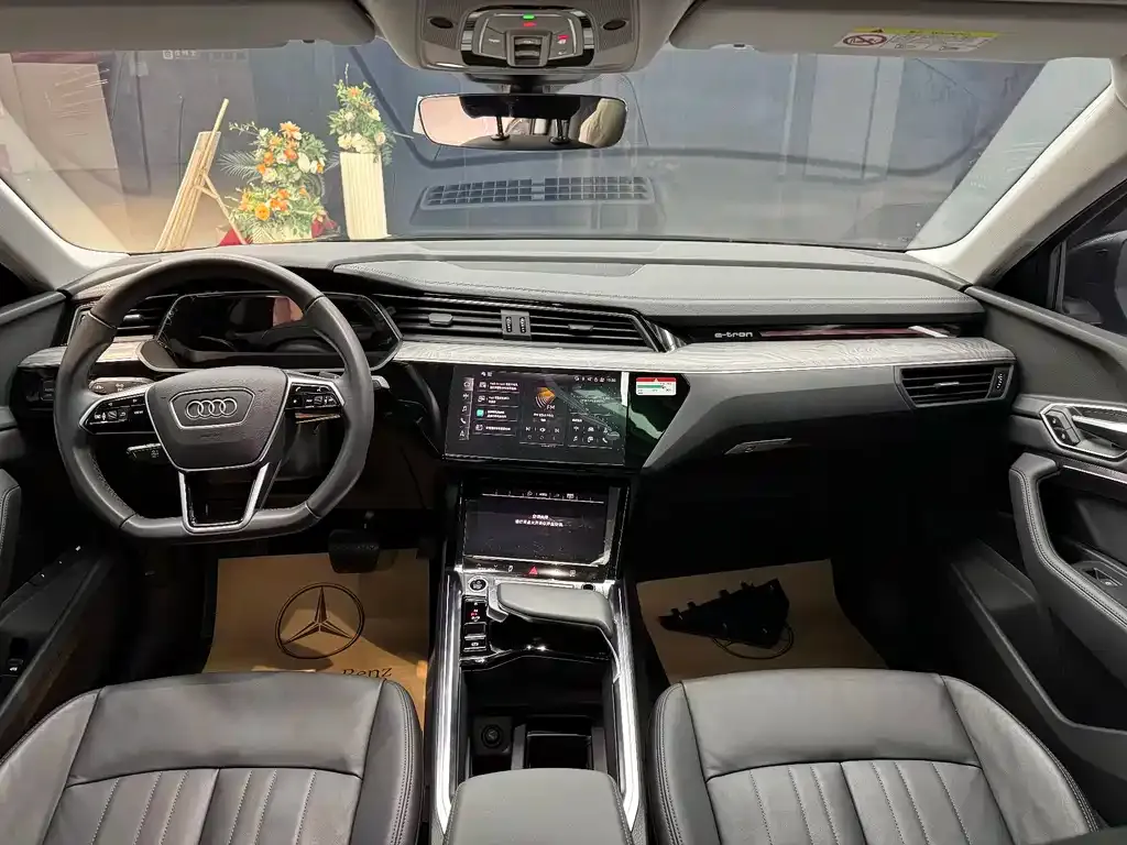Audi e-tron (Import) — фото 2
