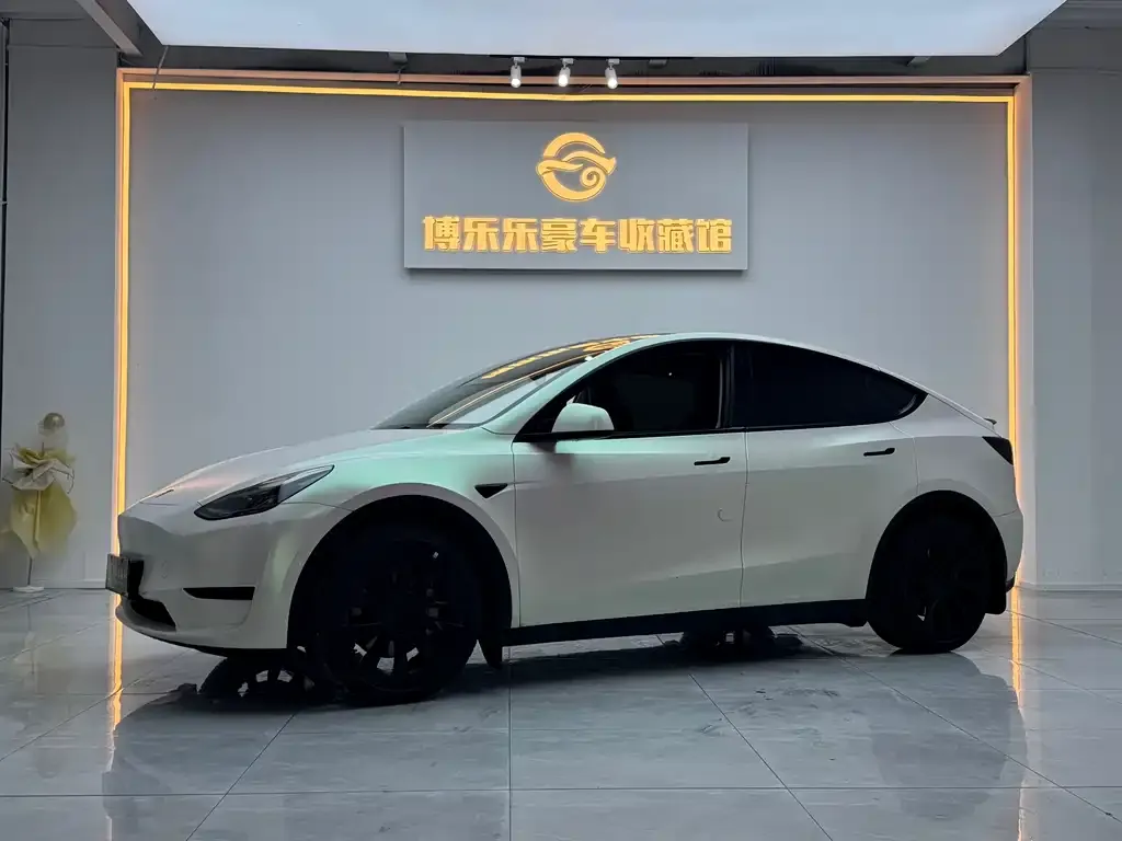 Tesla Model Y — фото 1
