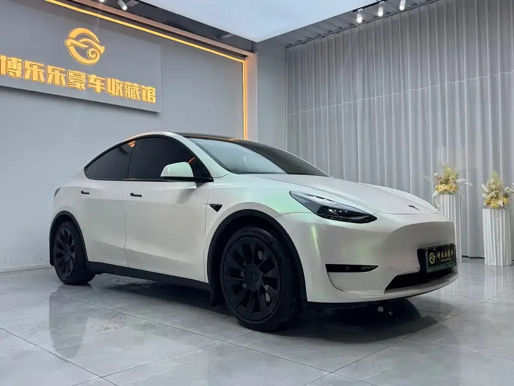 Tesla Model Y — фото 8