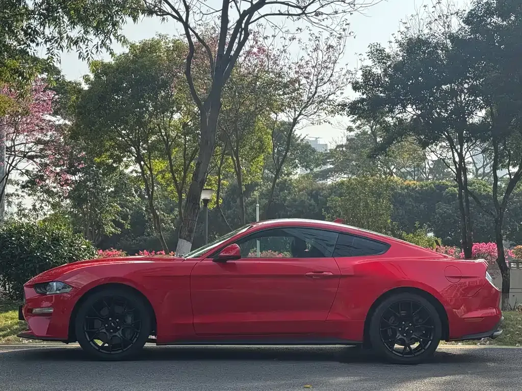 Ford Mustang — фото 10