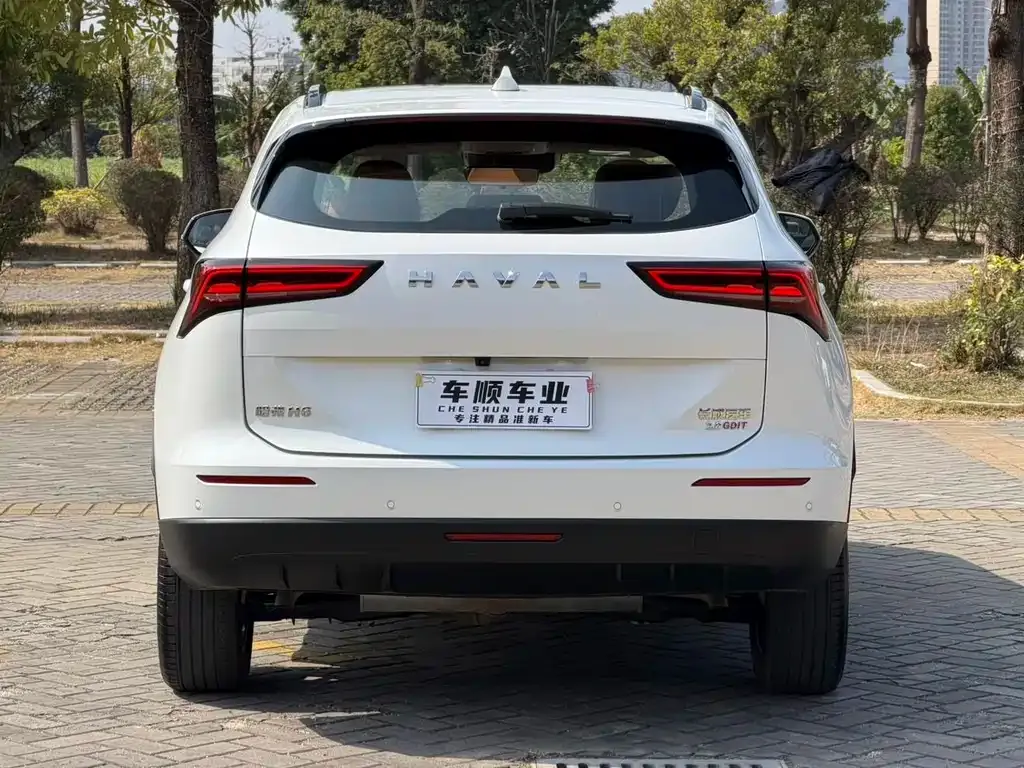 Haval H6 — фото 5