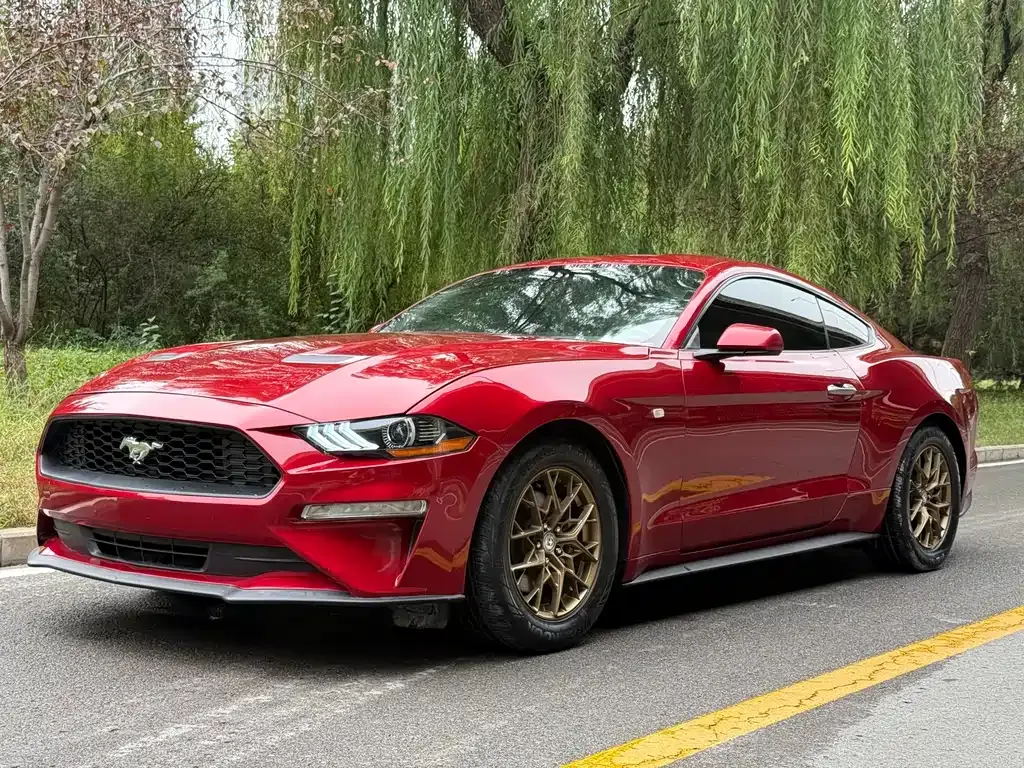Ford Mustang — фото 1