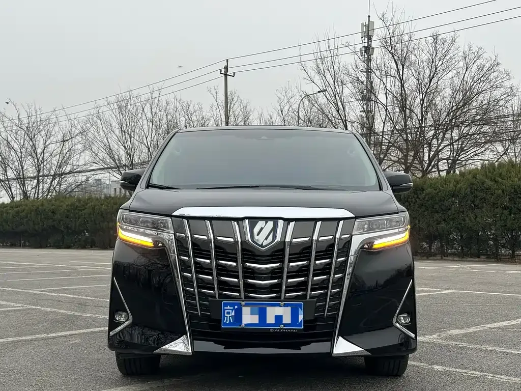 Toyota Alphard — фото 10