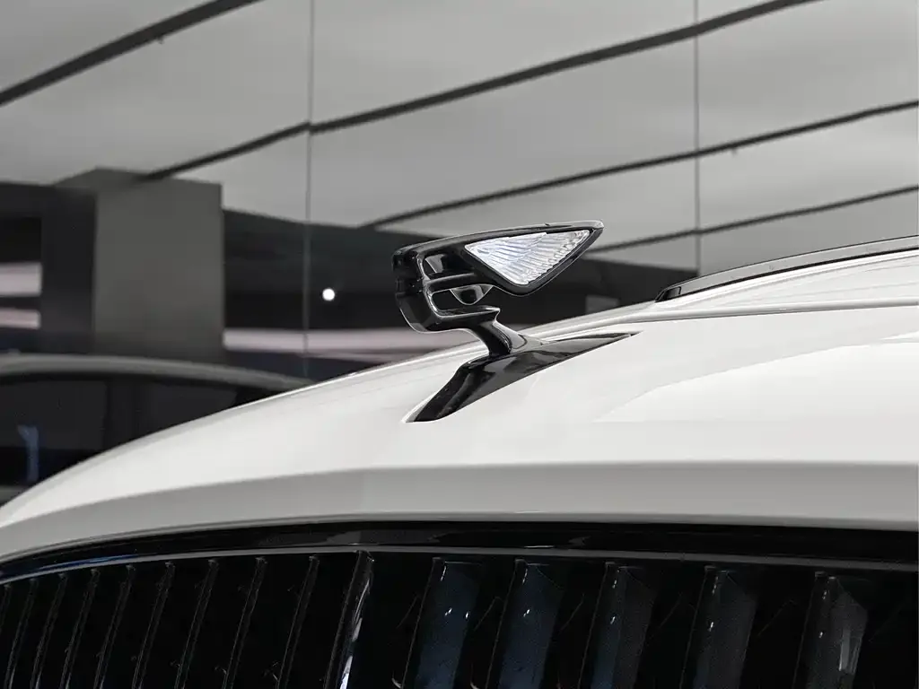 Bentley Flying Spur — фото 3