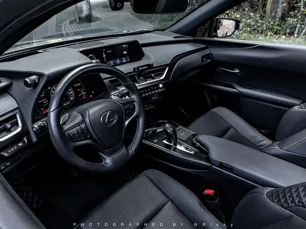 Lexus UX New Energy — фото 4