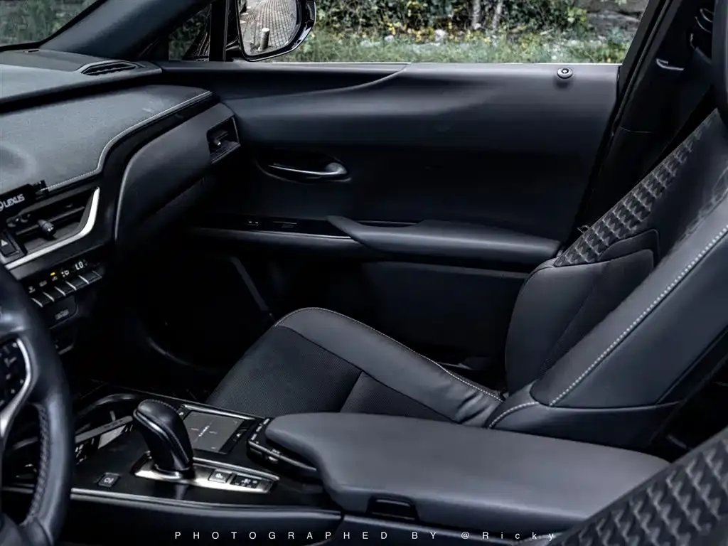 Lexus UX New Energy — фото 8
