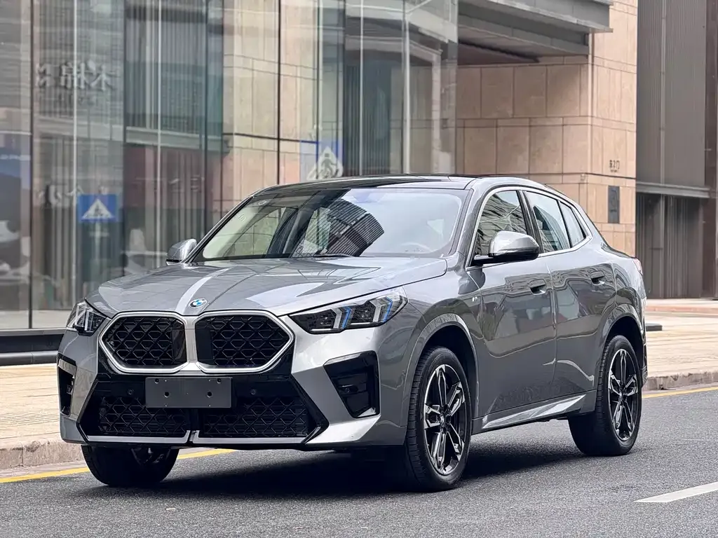 BMW X2 (Import) — фото 1