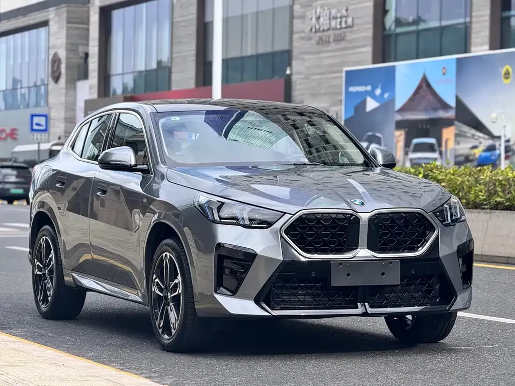BMW X2 (Import) — фото 9