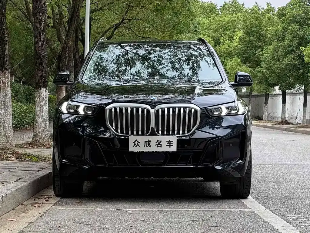 BMW X5 — фото 5