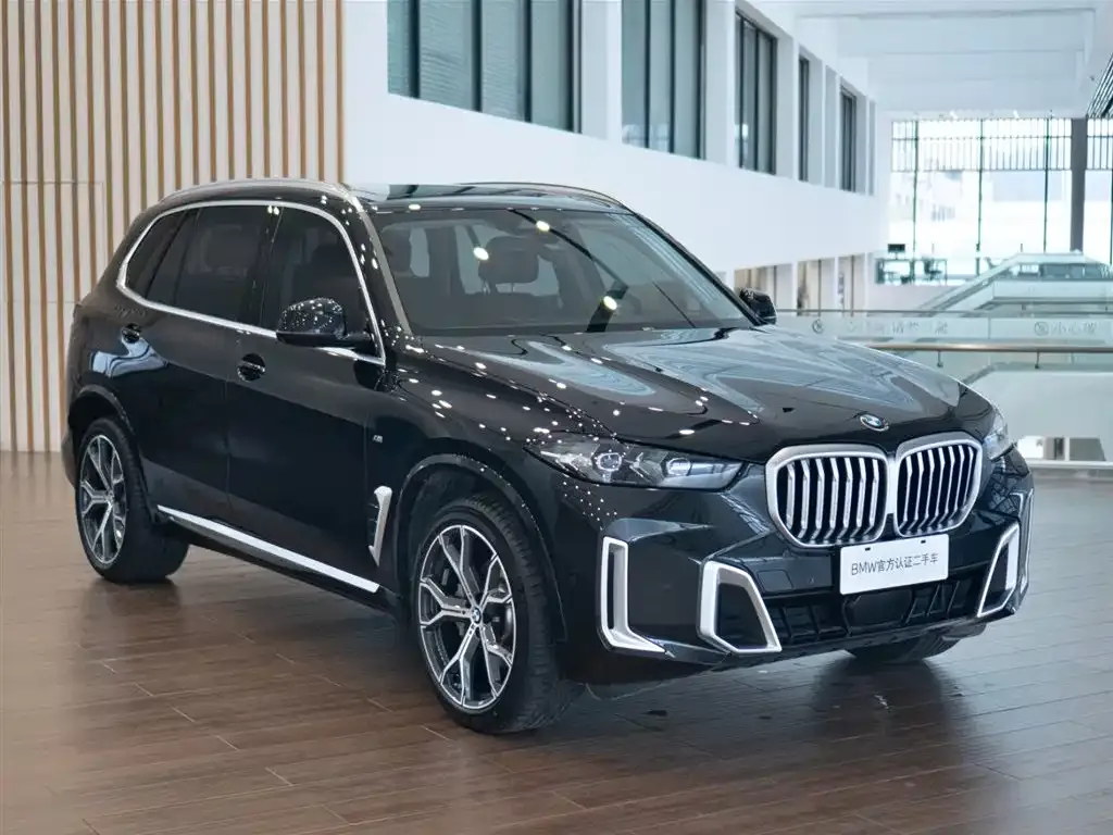 BMW X5 — фото 10