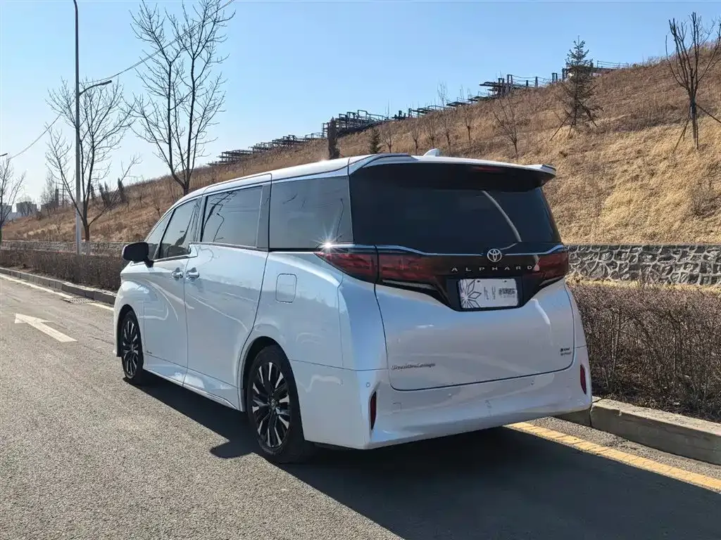 Toyota Alphard — фото 9