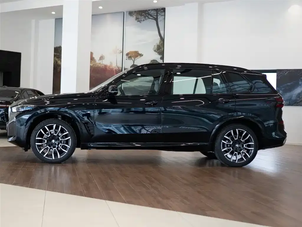BMW X5 — фото 5