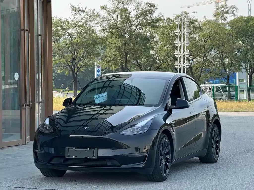 Tesla Model Y — фото 1