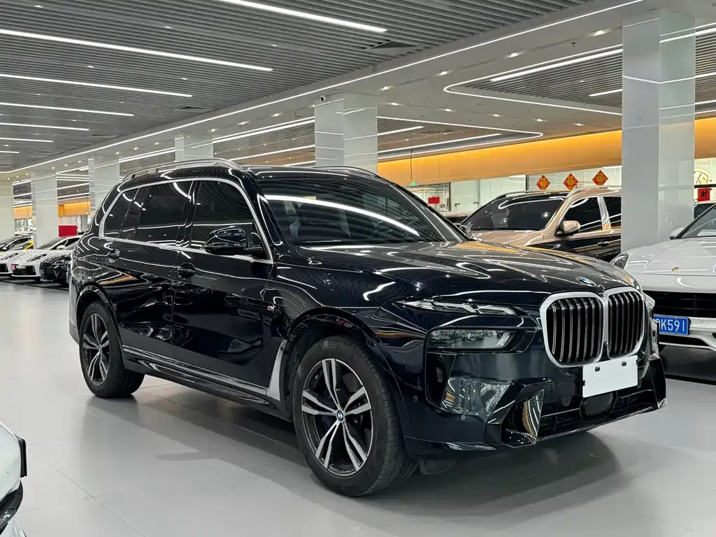 BMW X7 — фото 9