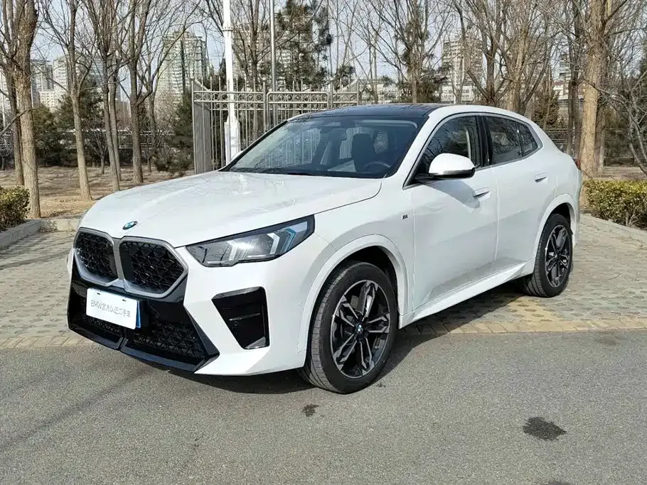 BMW X2 (Import) — фото 1