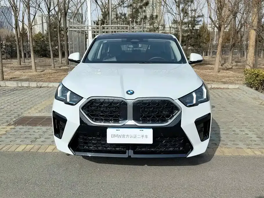 BMW X2 (Import) — фото 8