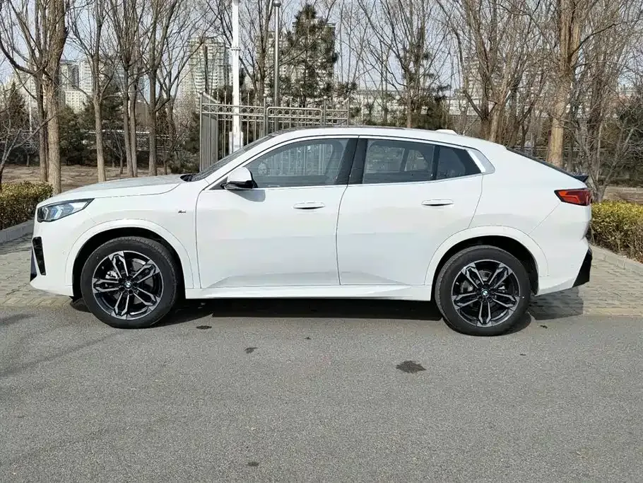 BMW X2 (Import) — фото 9