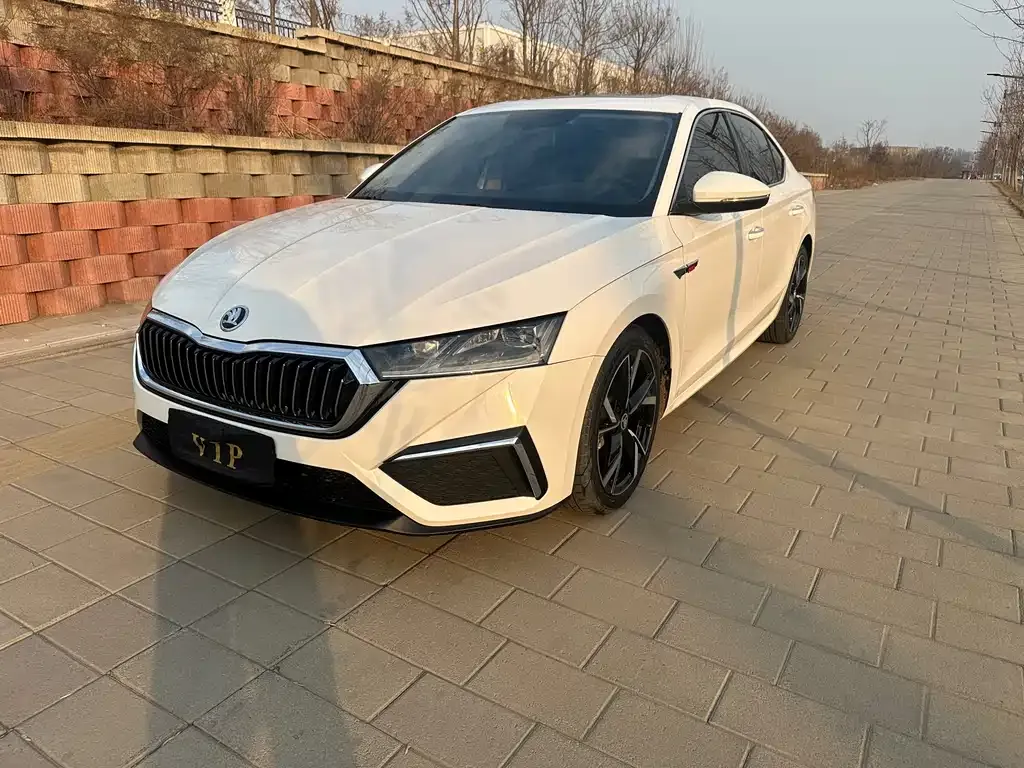 Skoda Octavia — фото 1