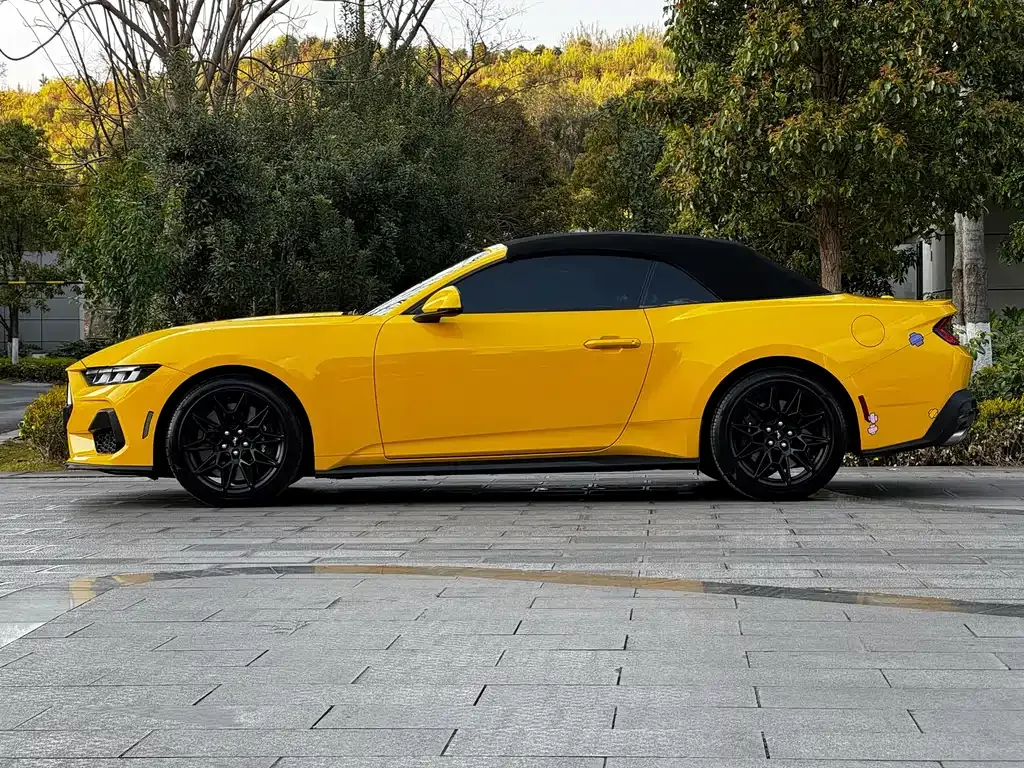Ford Mustang — фото 10