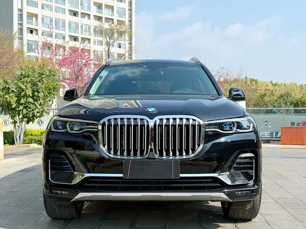 BMW X7 — фото 5